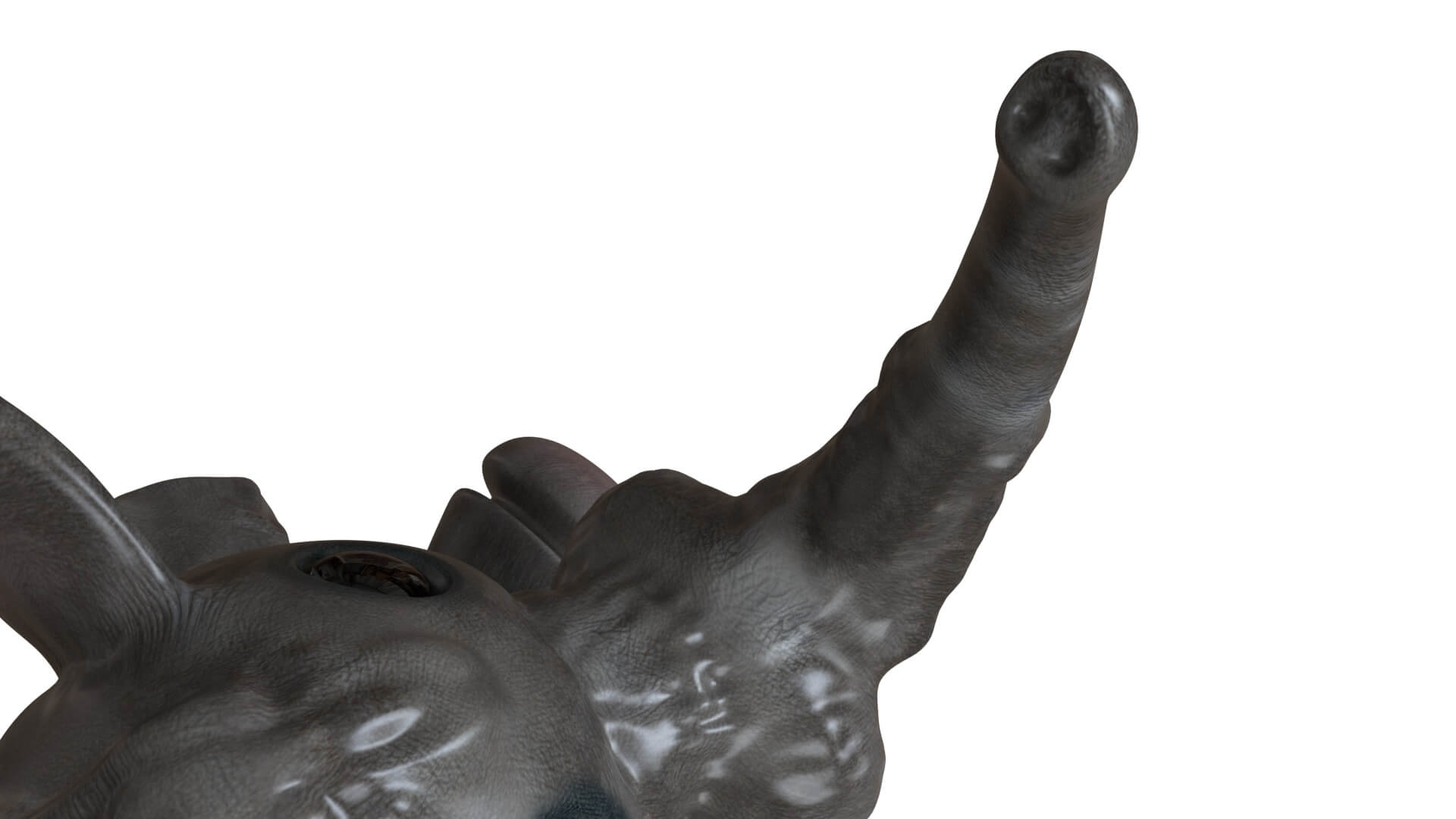 3D Elephant Dildo By Diginal