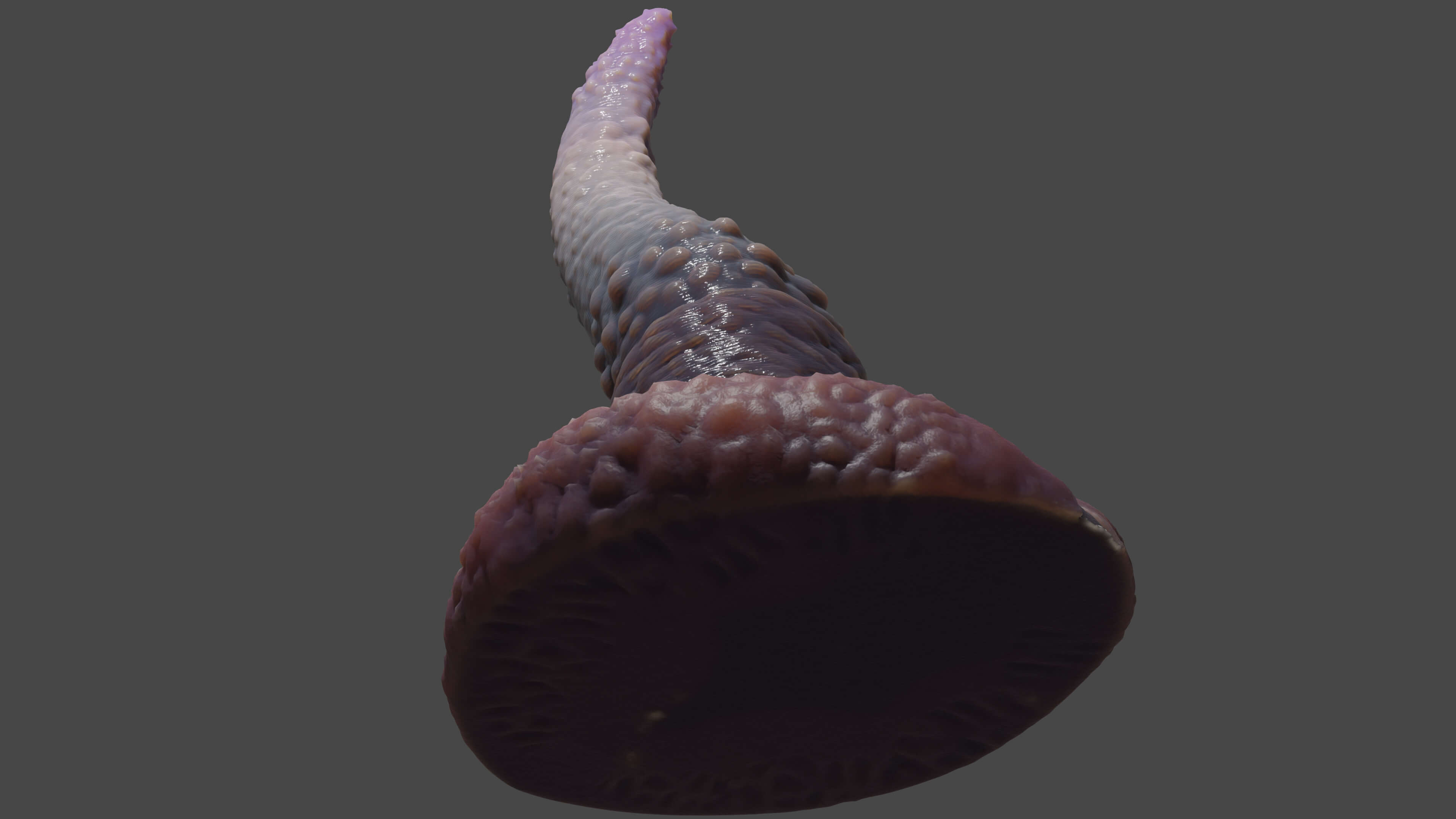 Spiked Tentacle Dildo Rigged D Model By TriDsign
