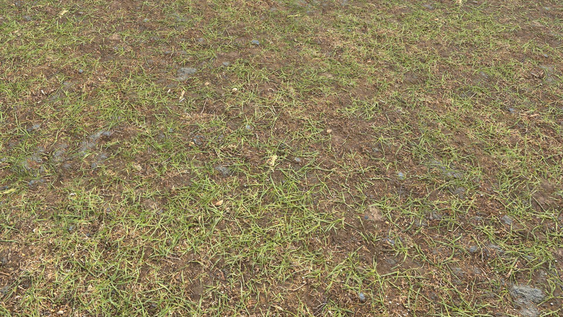 Forest Ground PBR Pack 8 3D Texture by 32cm