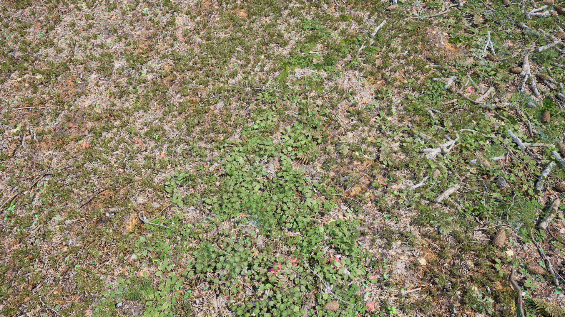 Ground Fro Rendering Ground Cover Foliage - 3D Model by 32cm
