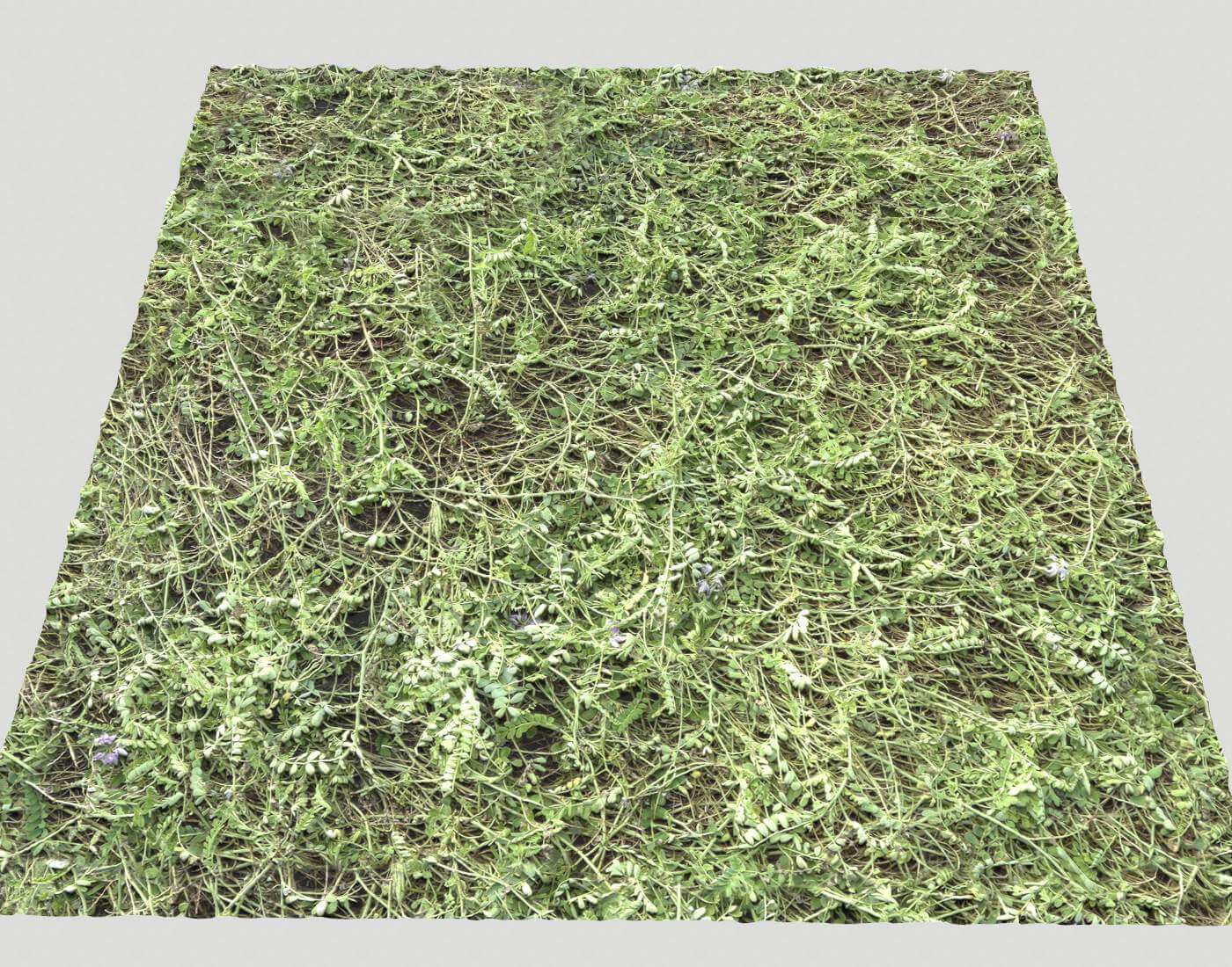 Ground Terrain Grass PBR Pack 6 - 3D Texture by 32cm