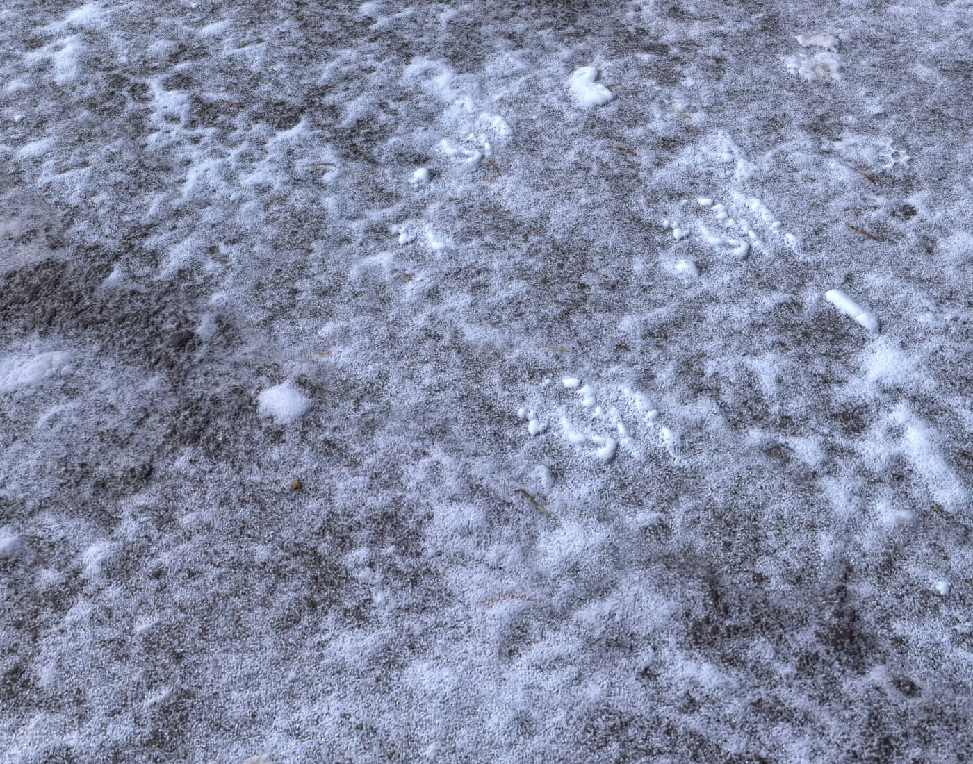 Snow Terrain PBR Pack 3 - 3D Texture by 32cm