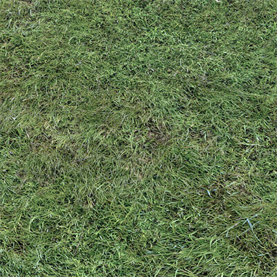 Wet Grass Terrain PBR Textures - 3D Texture by 32cm