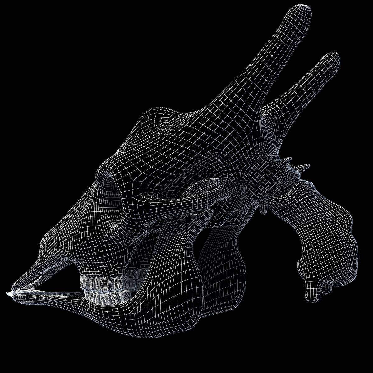 Giraffe Skull - 3D Model by 3D Horse