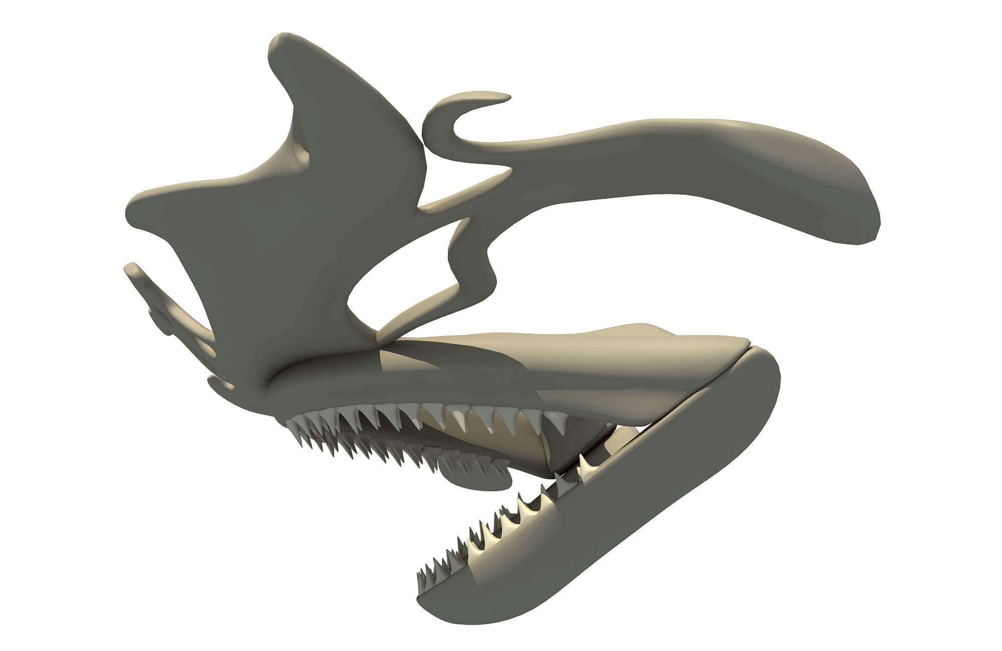Hammerhead Shark Skull - 3D Model by 3D Horse