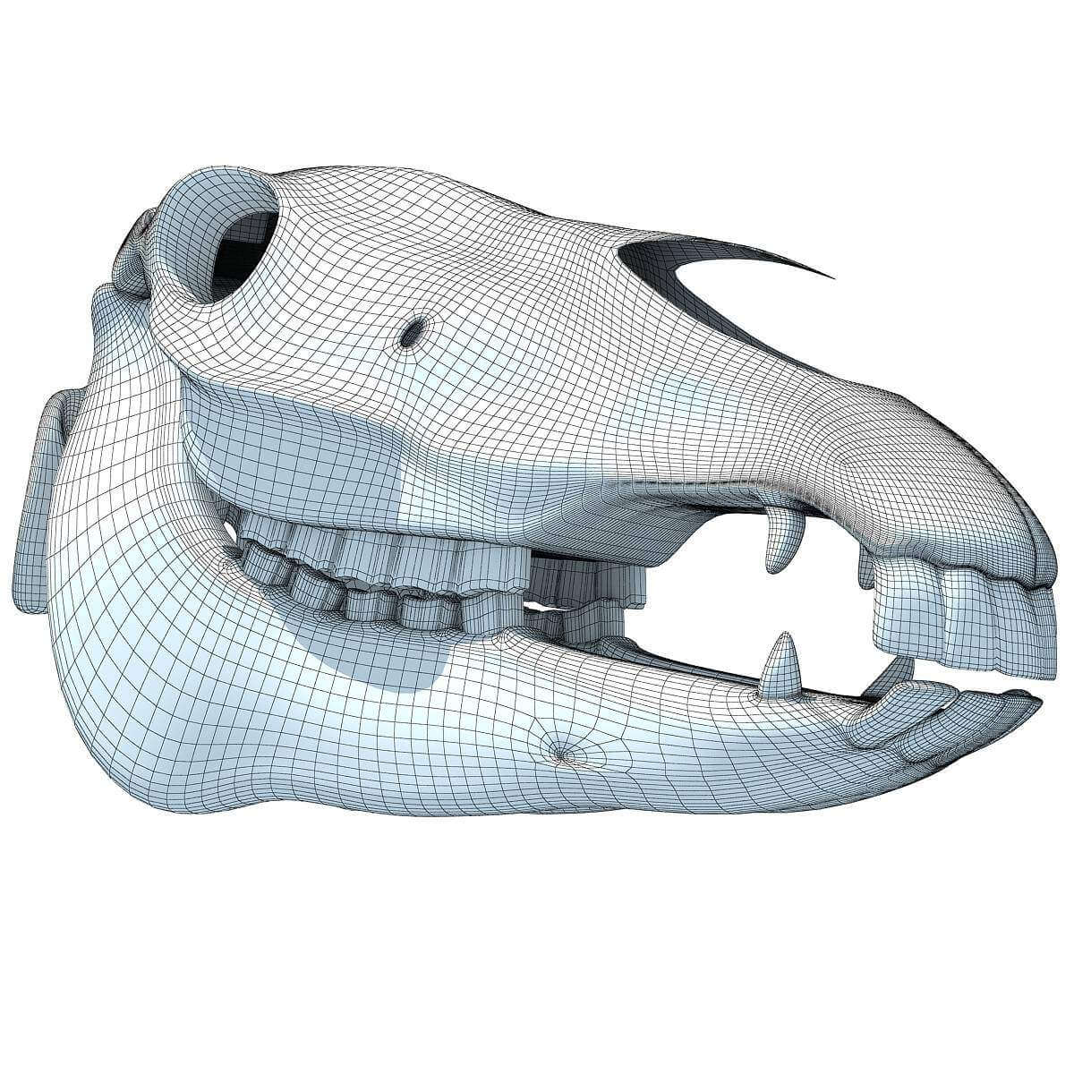Horse Skull - 3D Model by 3D Horse