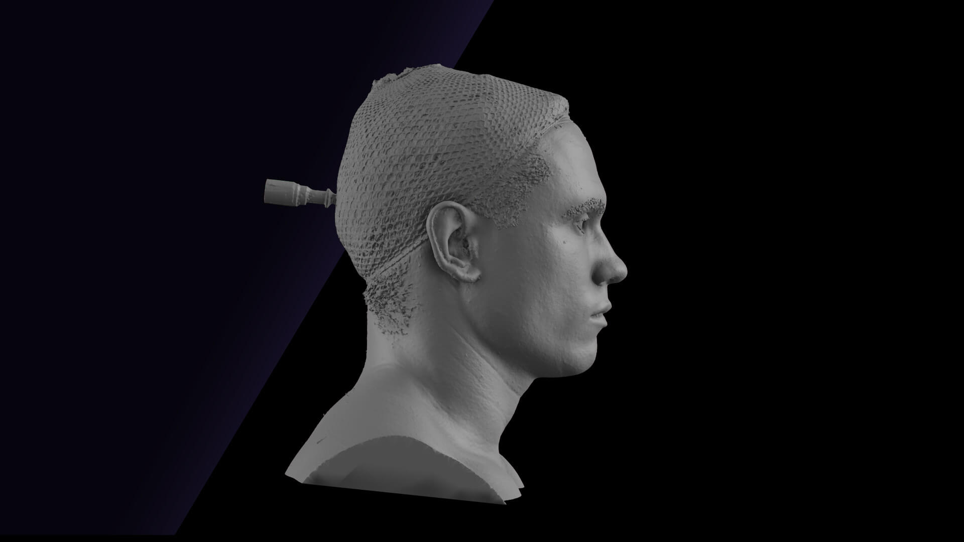 Raw Head Scan Gilbert 3D Model by 3dsk