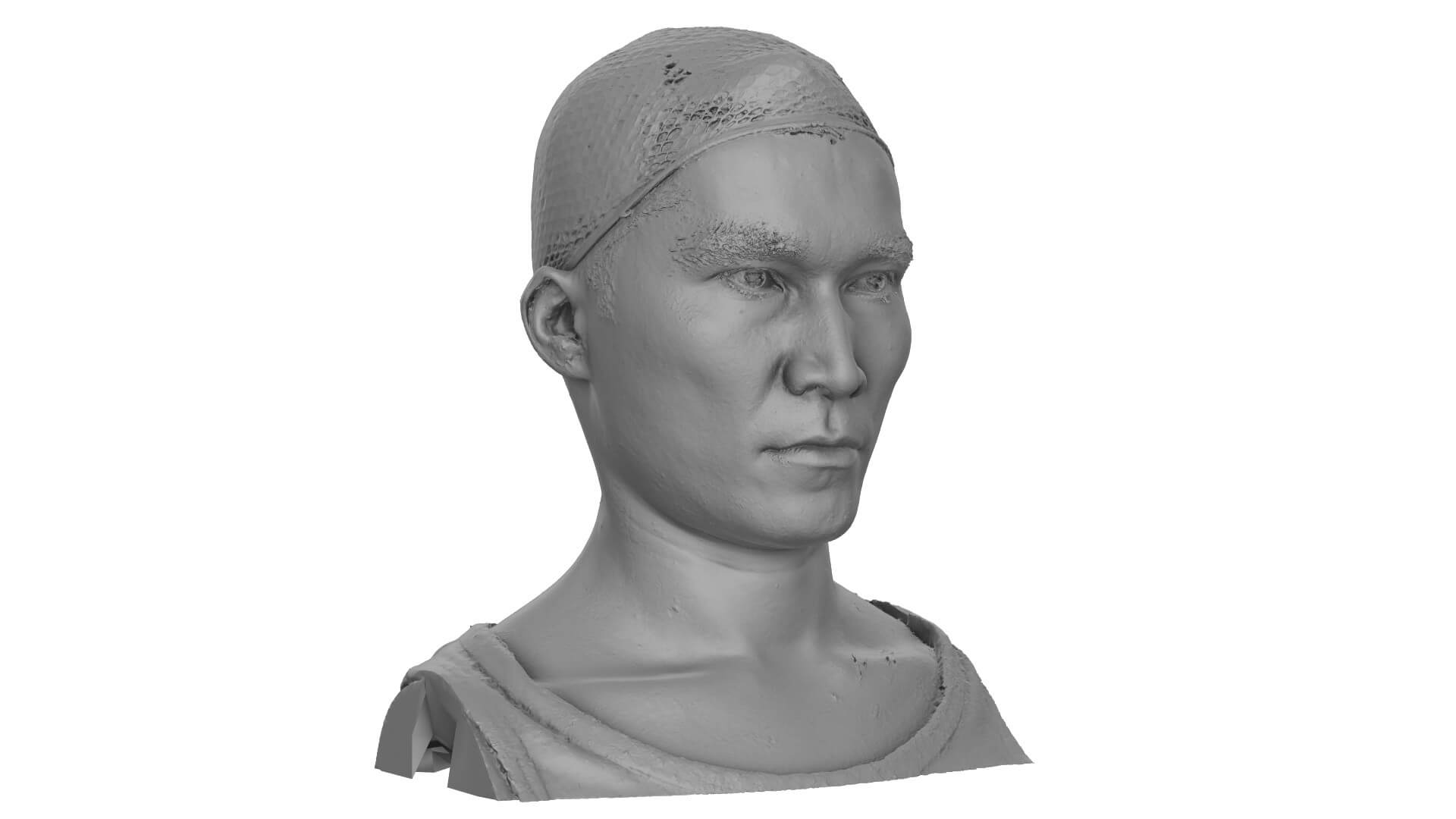 Raw Head Scan Hatsu Tanzan - 3D Model by 3d-sk