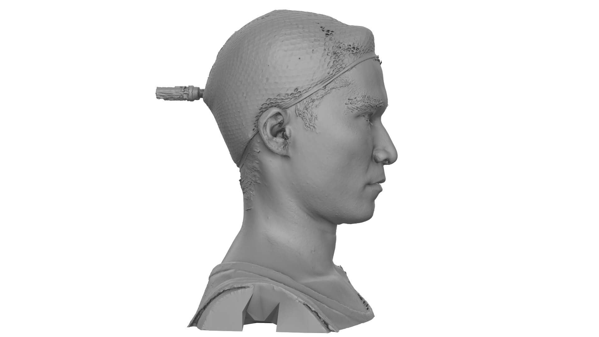 Raw Head Scan Hatsu Tanzan - 3D Model by 3d-sk
