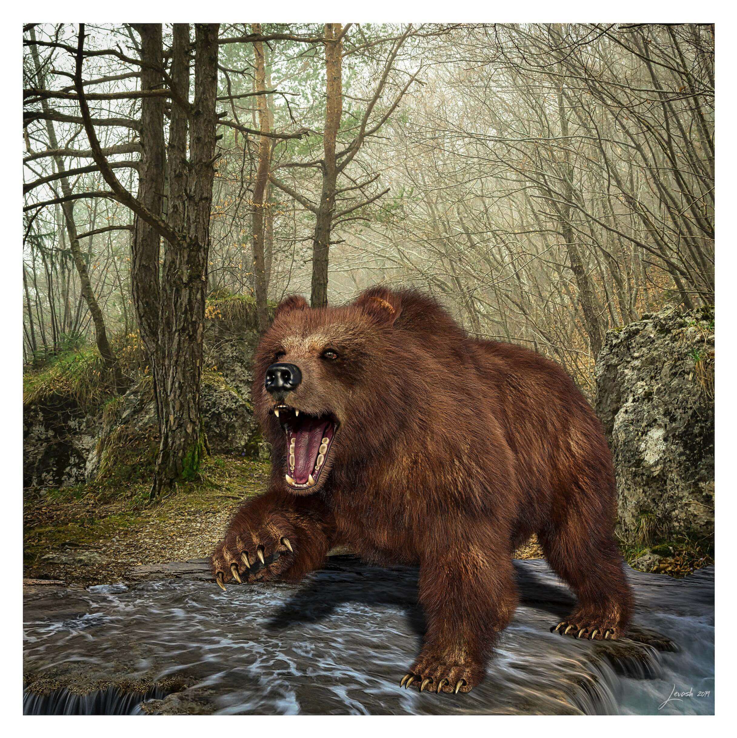 BROWN BEAR GROWLING 3D Rendering | RenderHub Gallery