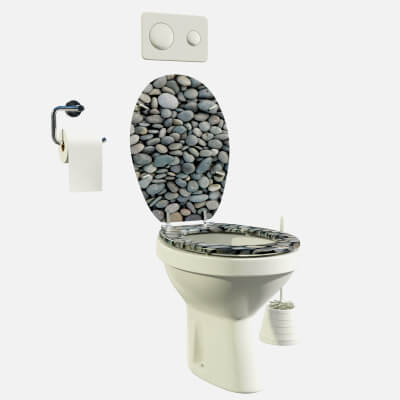 Ceramic Toilet
