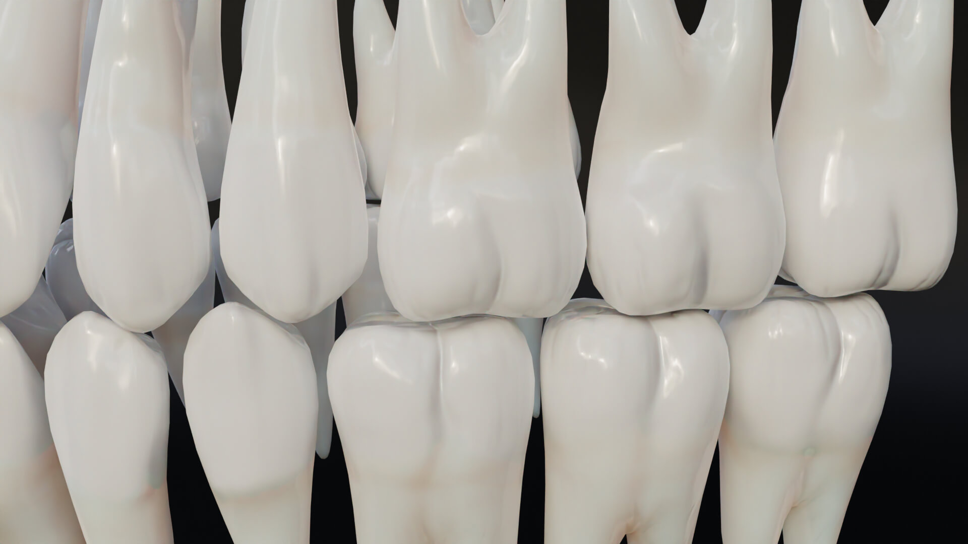 Clean Human Teeth Realistic and Detailed Low Poly 3D Model by 3DPolyForge