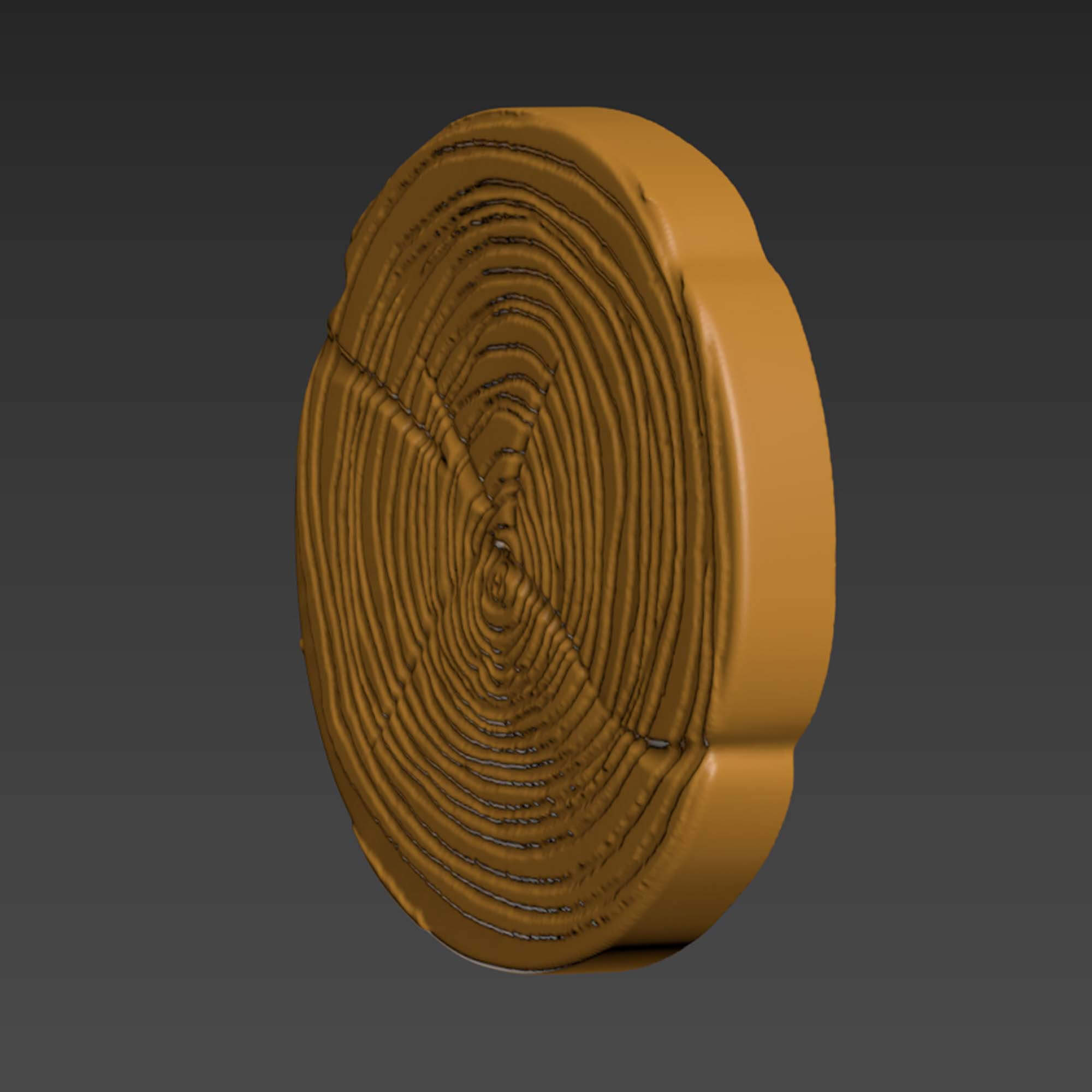 Wood Slice Stump Cut Trunk Tree Cross-Section 3D Model by 3DRelief