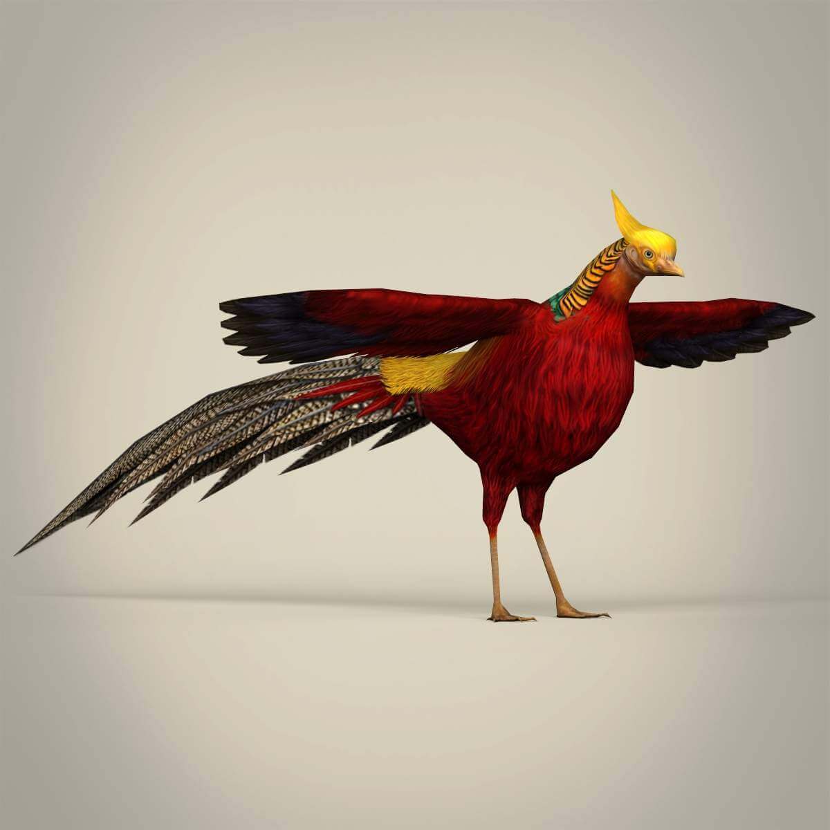 муляж птицы. Bird 3d model. голубь туториал. птица 3д модель. 3d модель птичка.