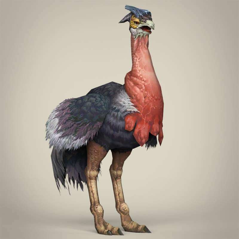 Ostrich Feather Fantasy