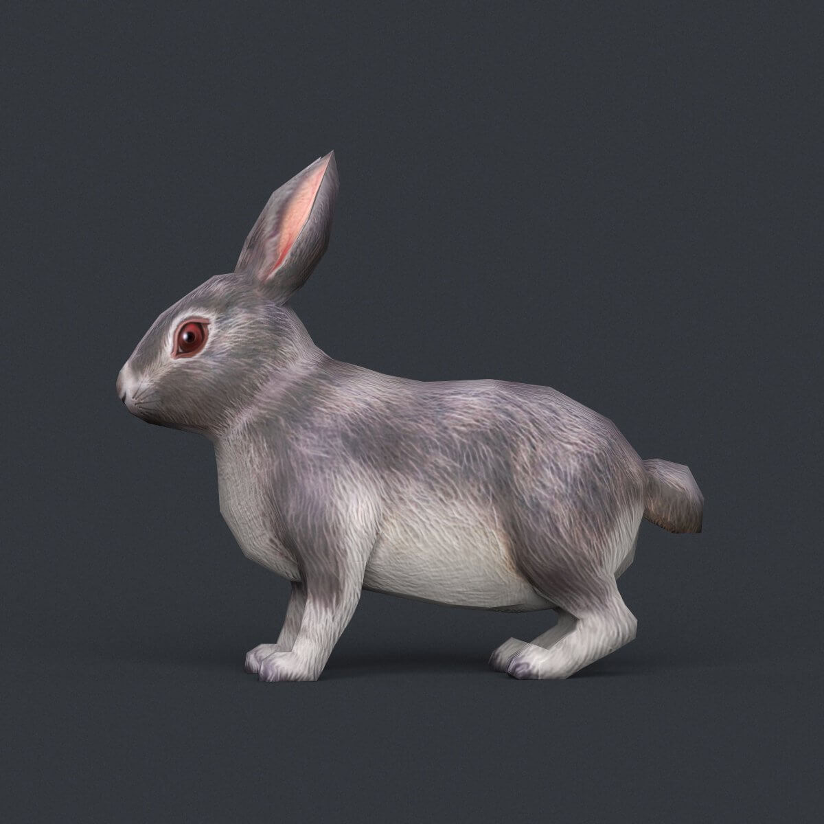 Rabbit 3 карты. Зайчик модель. Rabbit 3 карты. Игра rabbit carrot. Заяц модель.