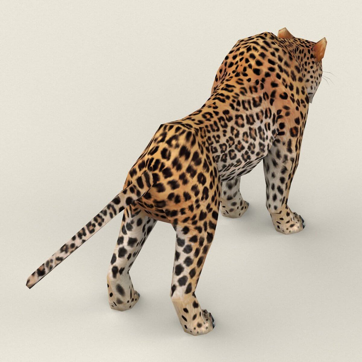 Leopard model