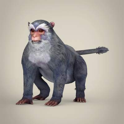 Monkey - 3D Model by 3dseller