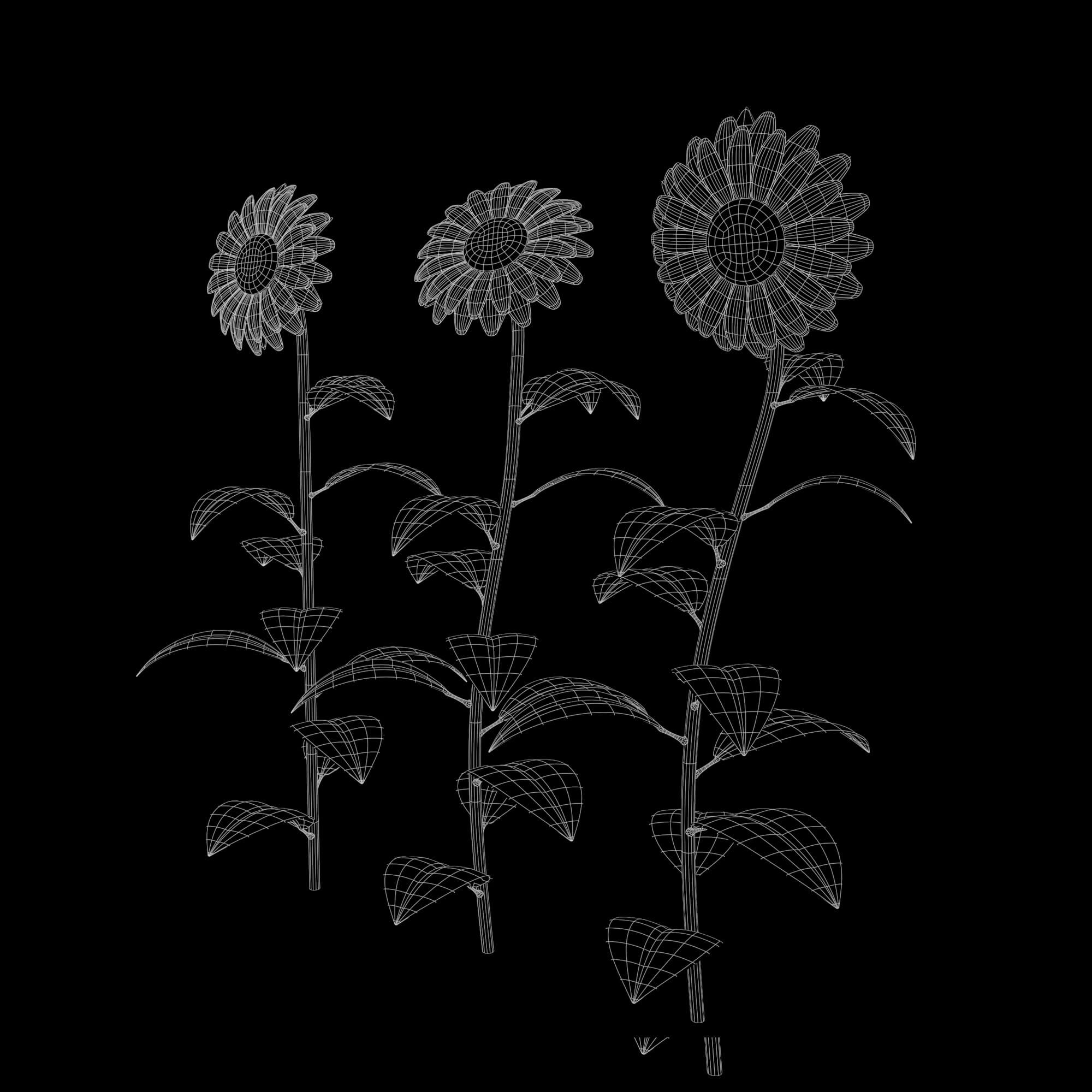 Sunflower Plant 3D Model by
