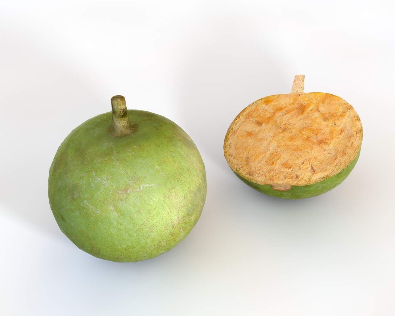 Bael Wood Apple 3D Model by 3dstudio