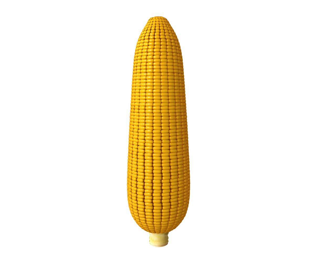 Corn 3D Model by 3dstudio