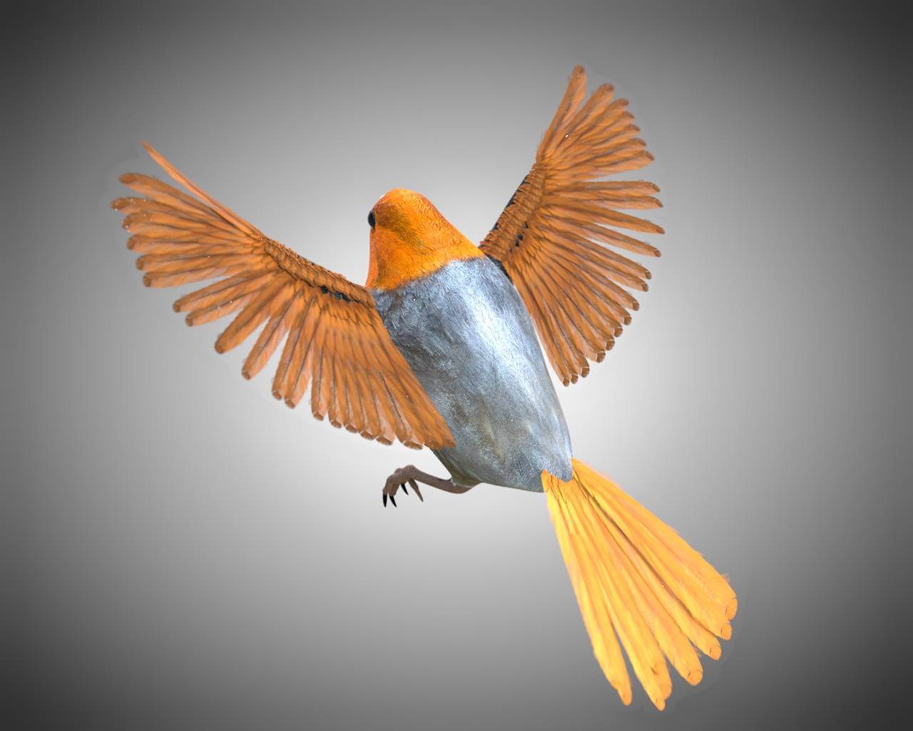 Finch 3d. Finch 3d. Finch 3d. Finch 3d. Finch 3d.