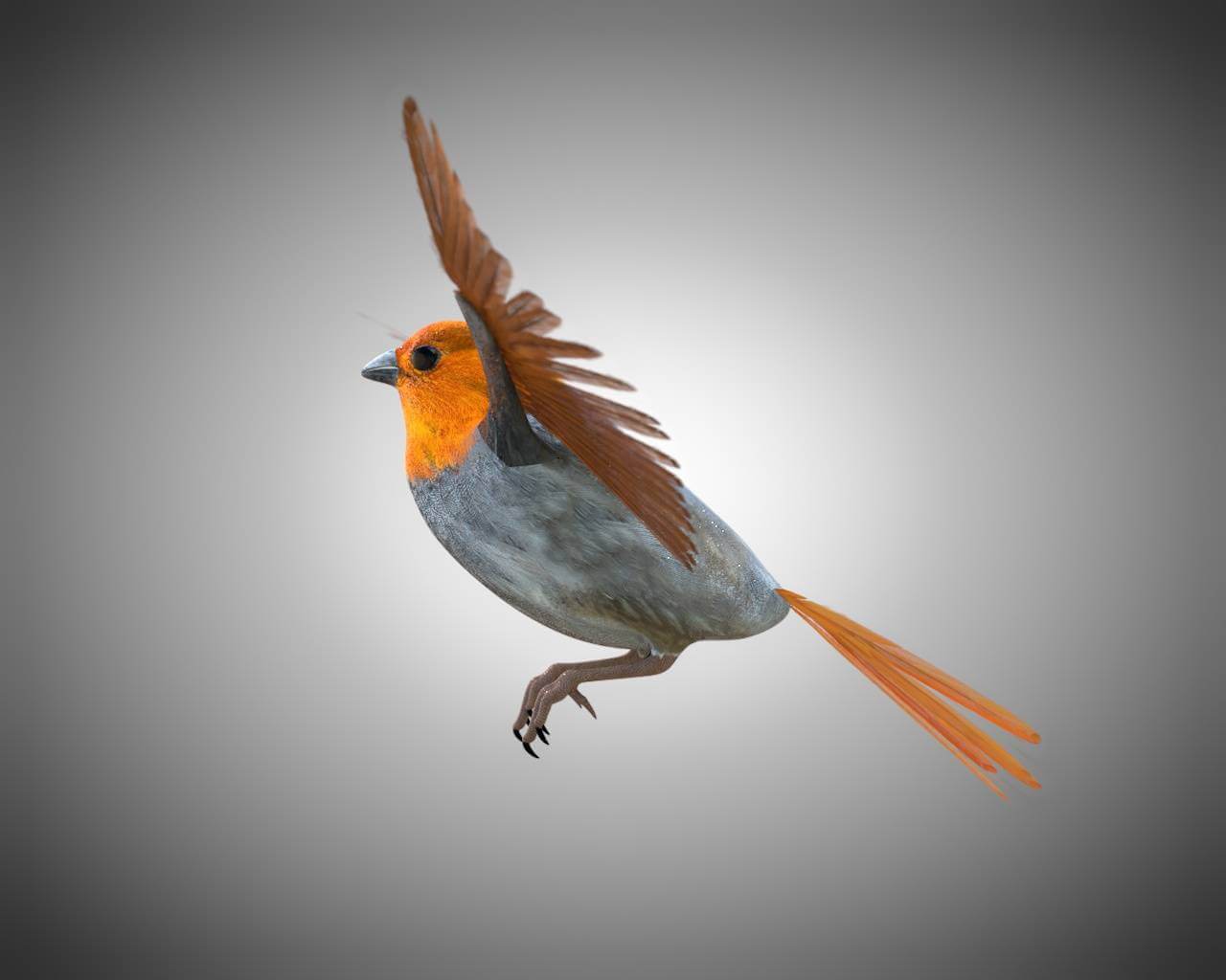 Finch 3d. Finch 3d. 3d bird cock. Rigged bird. Finch 3d.