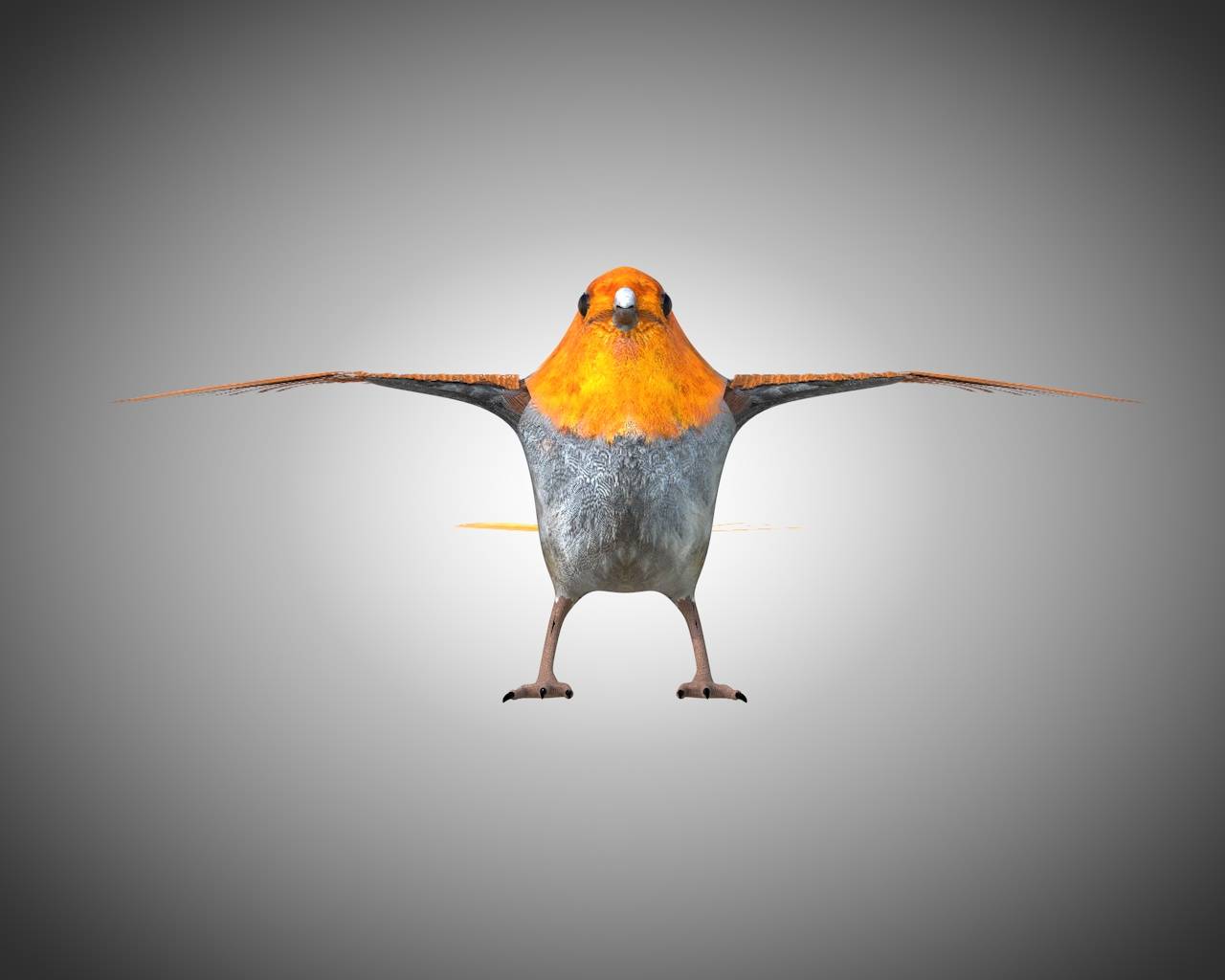 Finch 3d. Finch 3d. Finch 3d png. Finch 3d. Finch 3d.