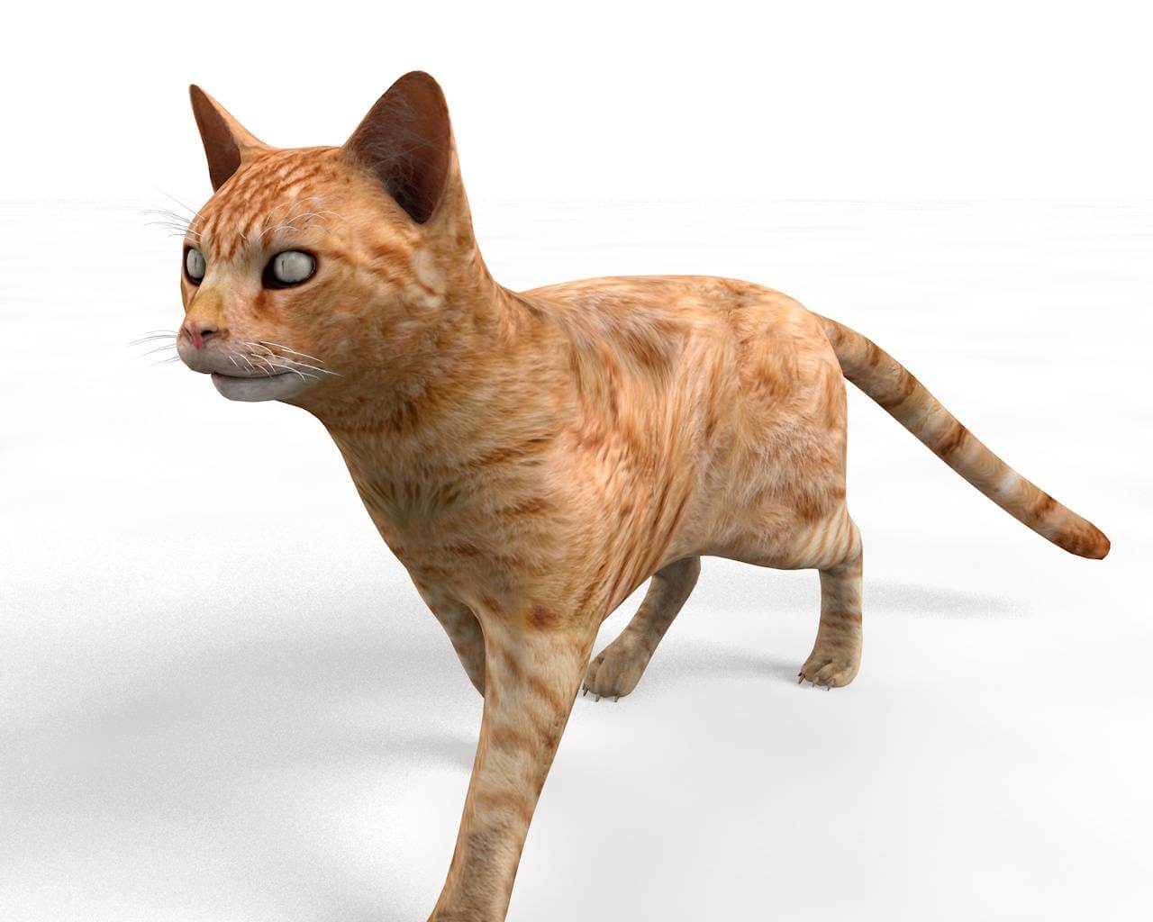 Ginger Cat 3d Model