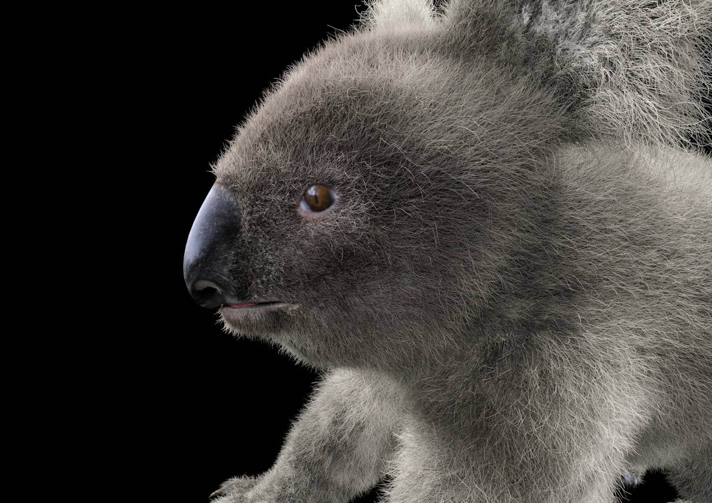 Koala with Fur 3D Model by 3dstudio