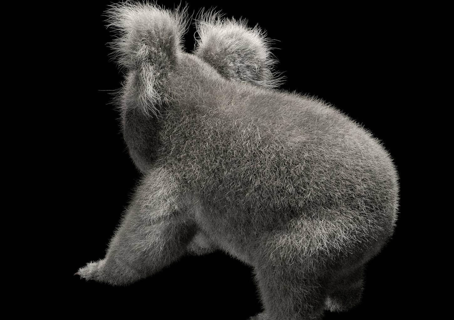 Koala with Fur 3D Model by 3dstudio