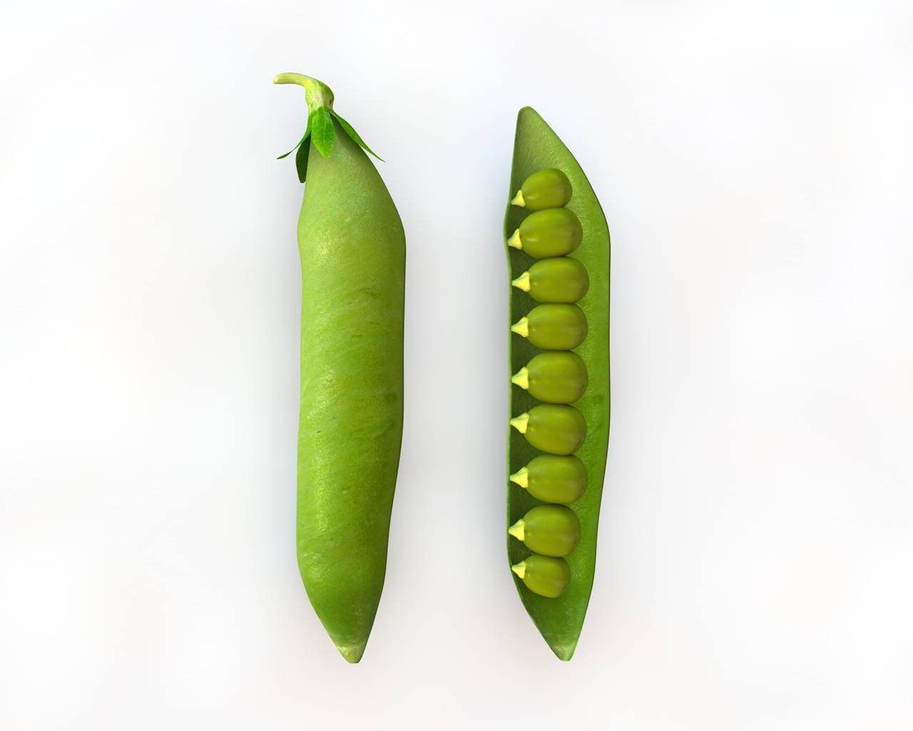 Peas 3D Model by 3dstudio
