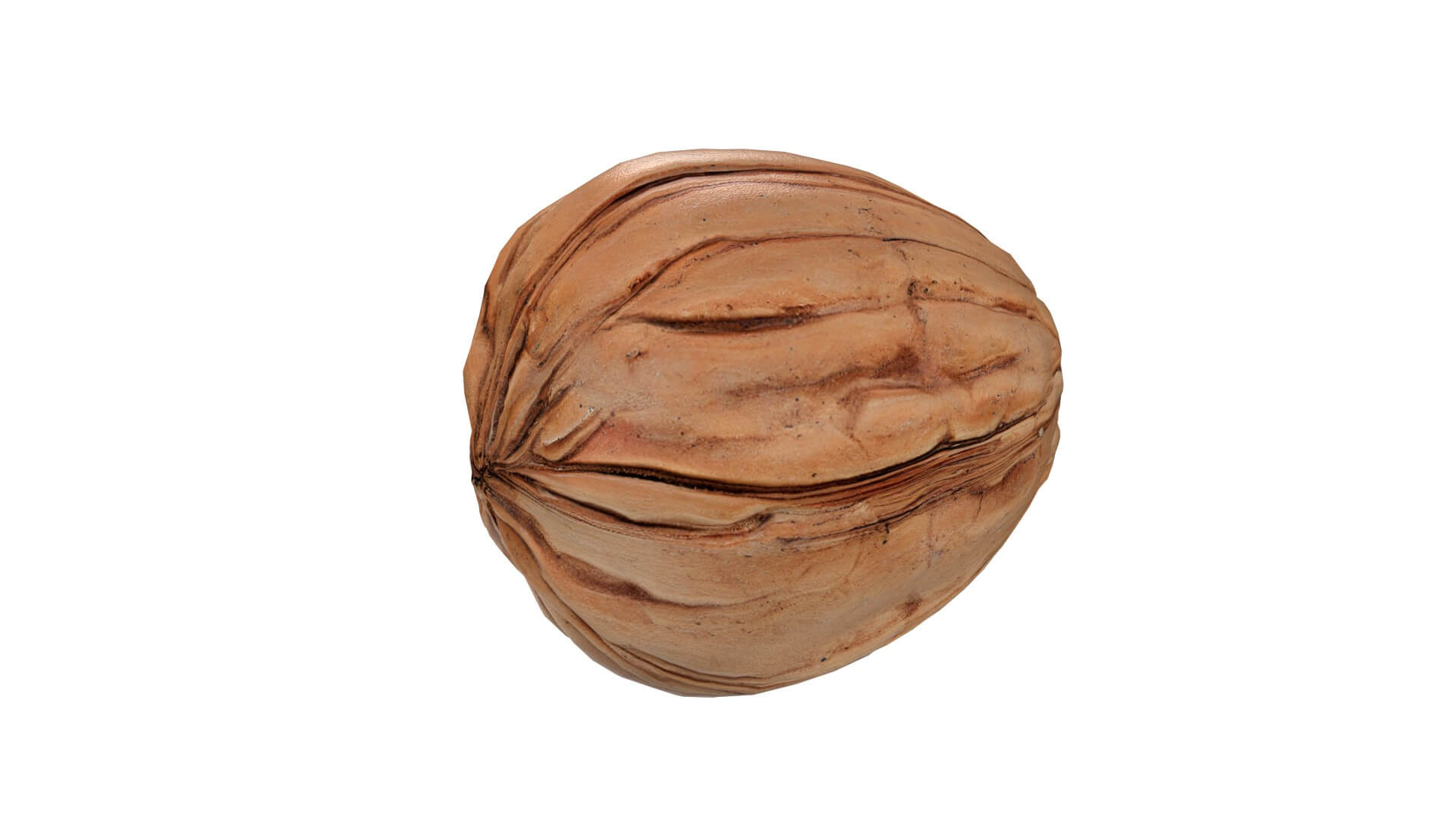 Walnut v1 3d model by 3dstudio
