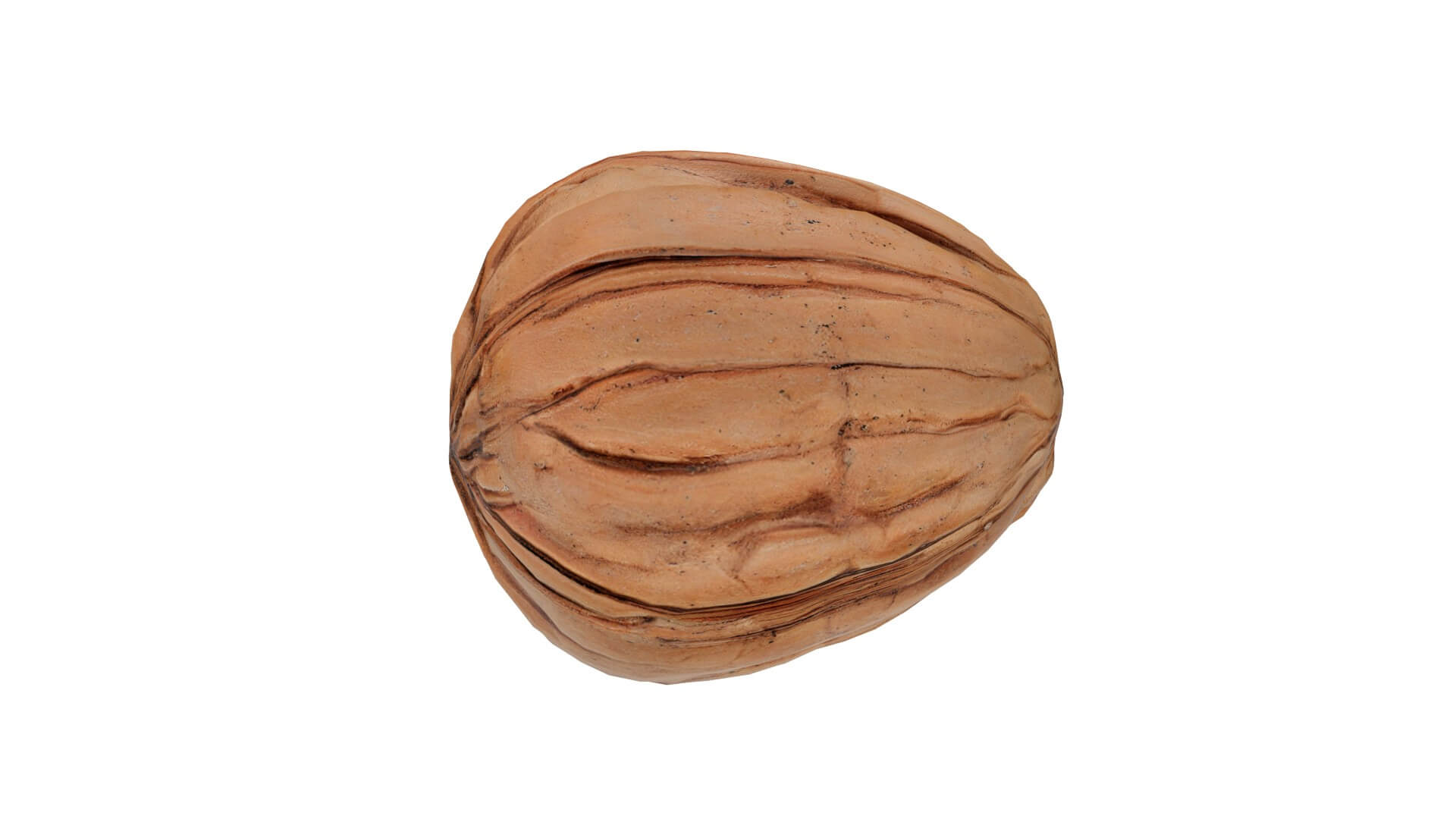 Walnut v1 3d model by 3dstudio