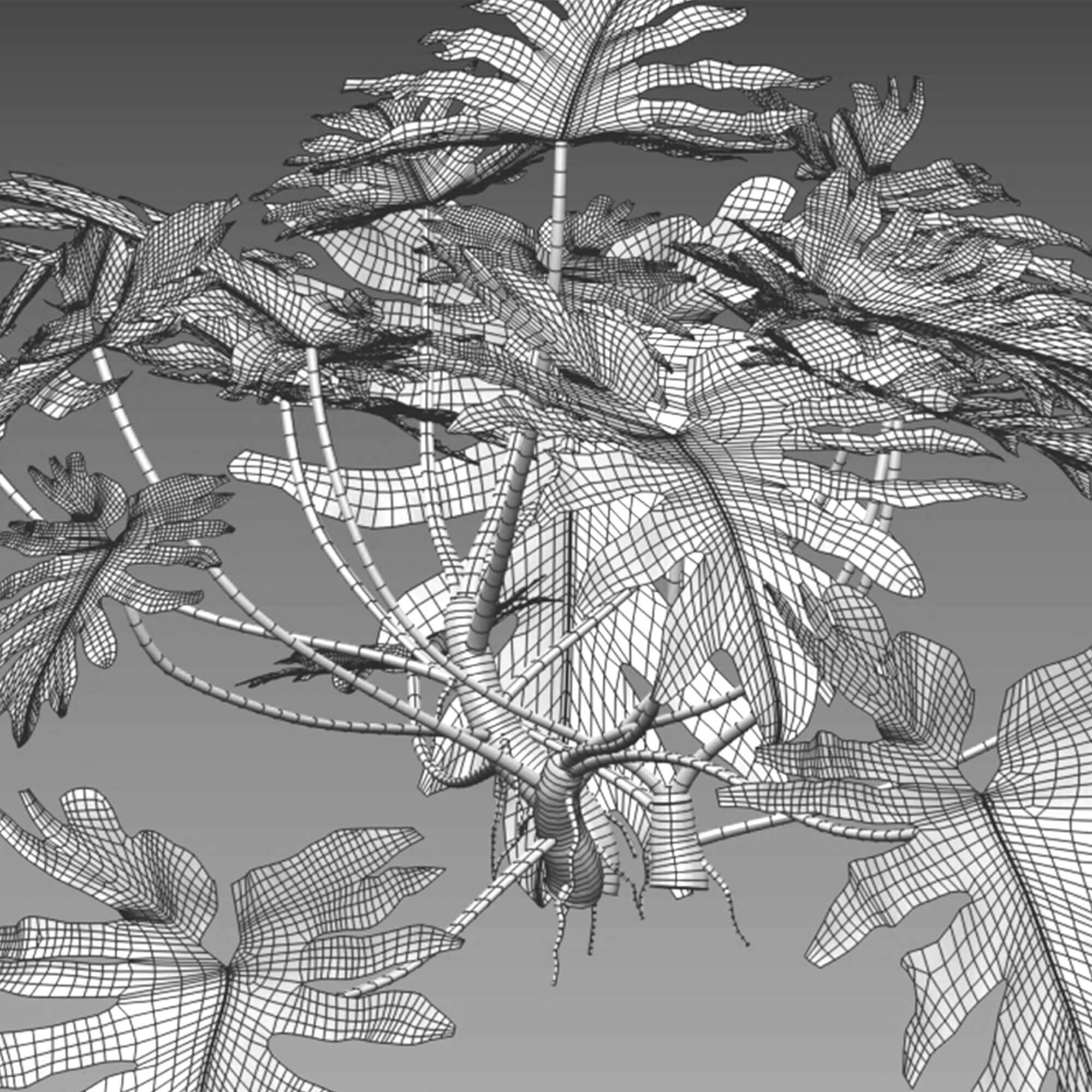 3dtree Philodendron Bipinnatifidum – Philodendron Selloum - 3D Model by 3DTree ...