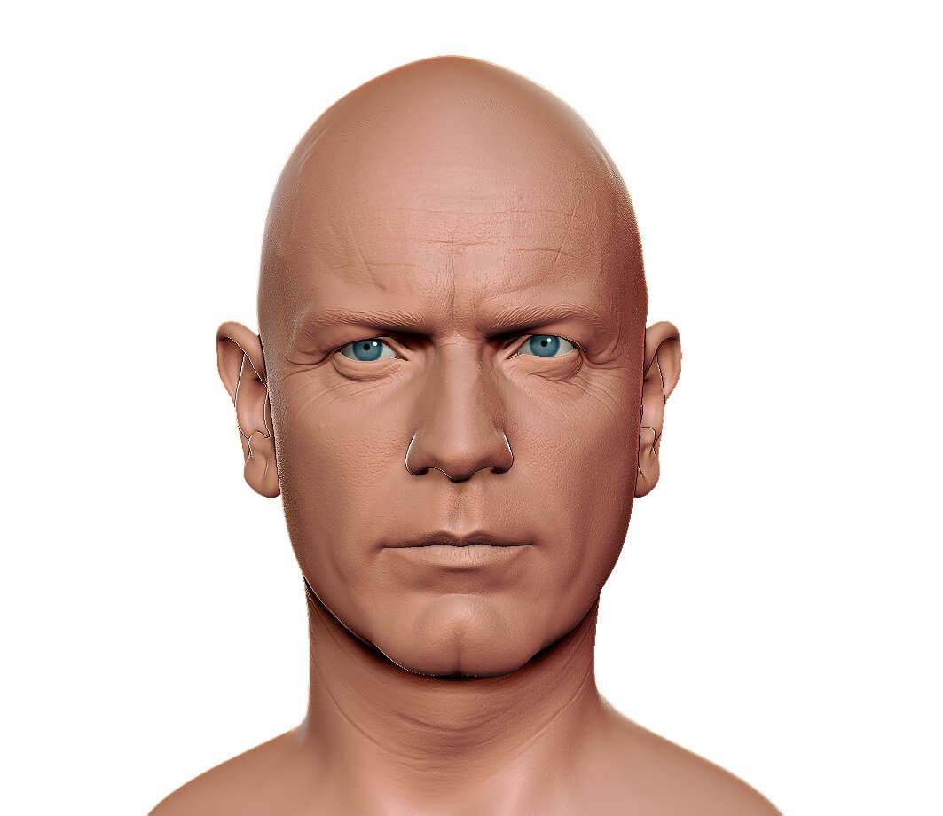 Male Base Head 3D Model by 3dwall
