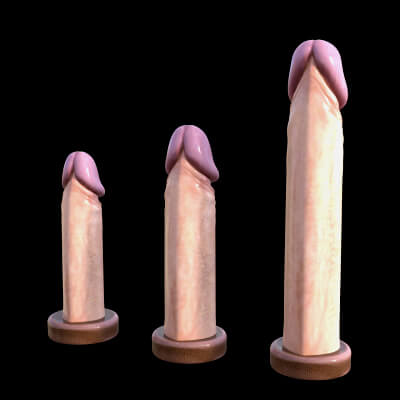 Set of 3 Dildos by A3DTemptation