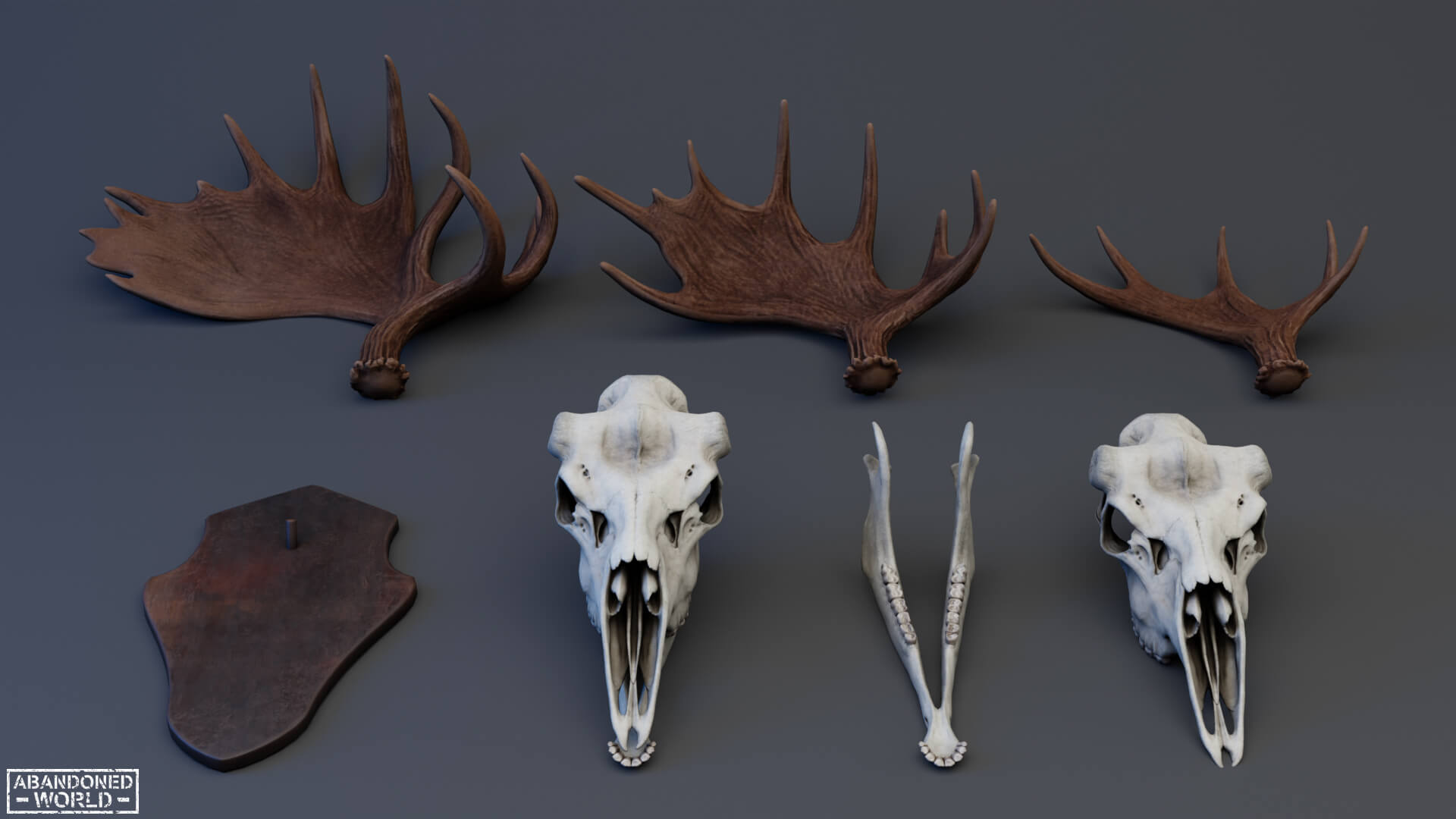 Moose Skull Collection - 3D Model by Abandoned World