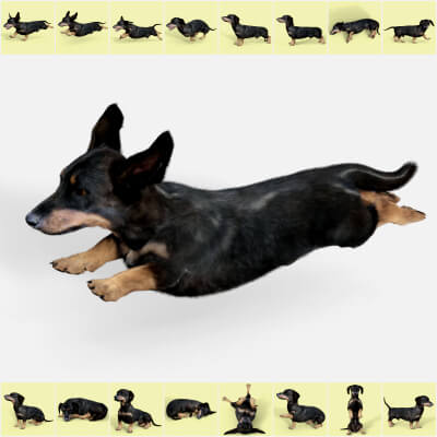 Poses for Dachshund Standalone