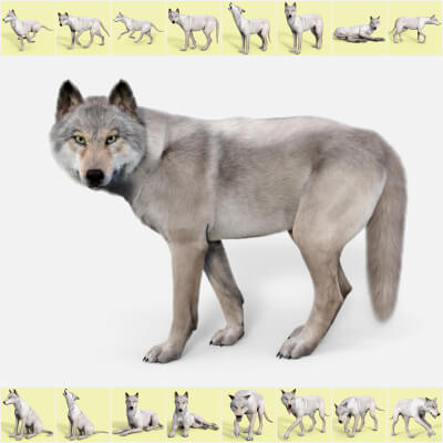 Poses for Wolf Standalone Figure by Aesli