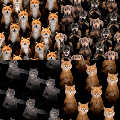 Seamless Tiles of Rendered Animals