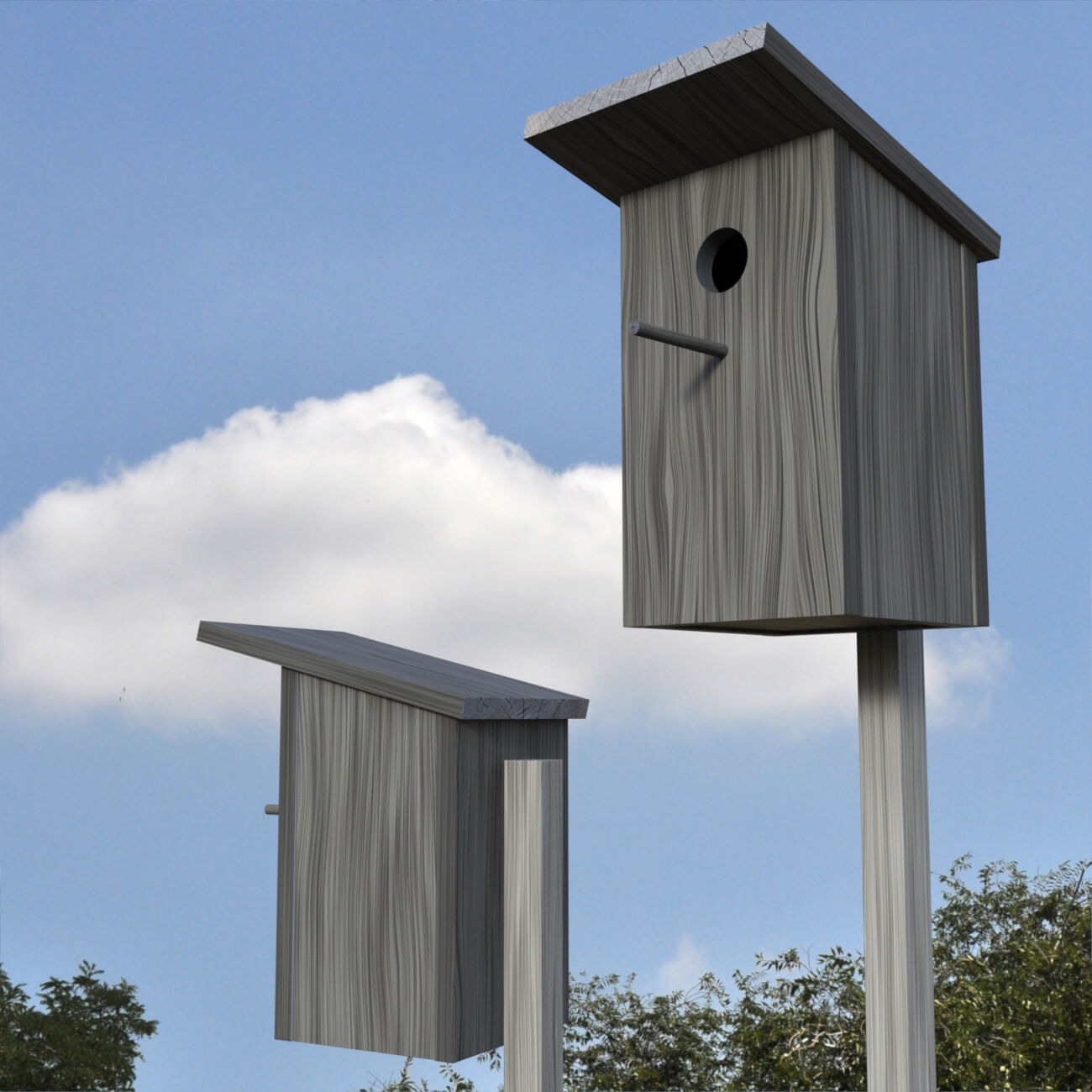Starling Nest Box - Daz Content by Aesli