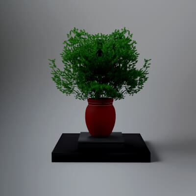 Ah3D MX Plante