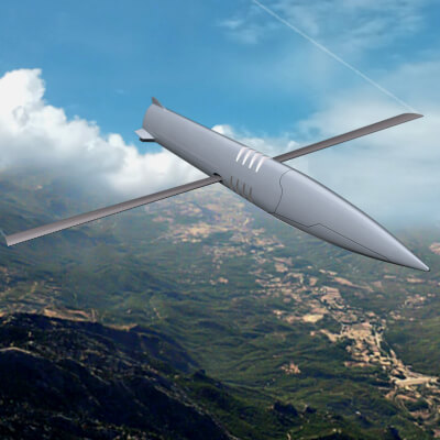 Long Range Maneuvering Projectile