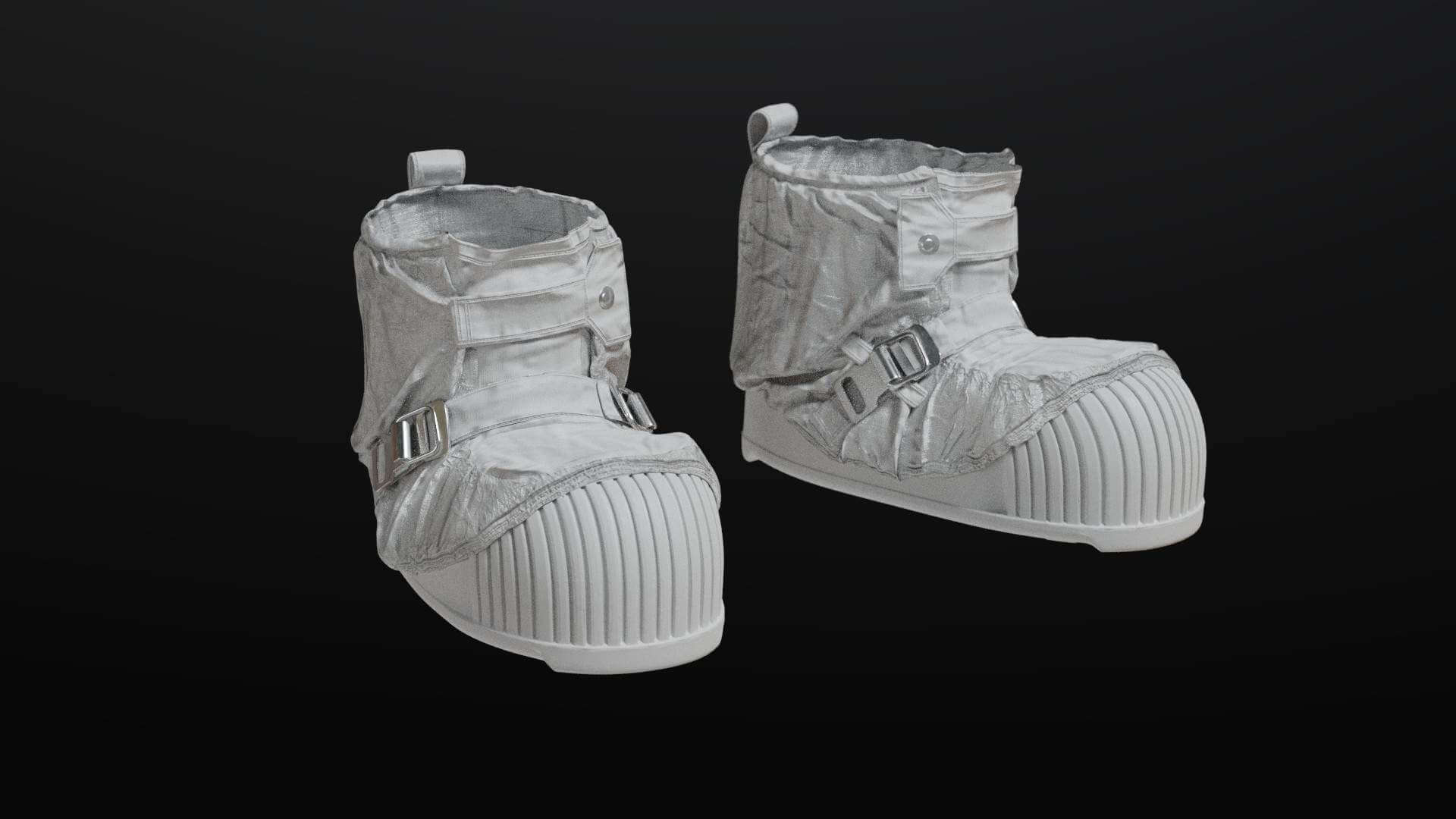 NASA Apollo 11 Boots 3D Model by Albin