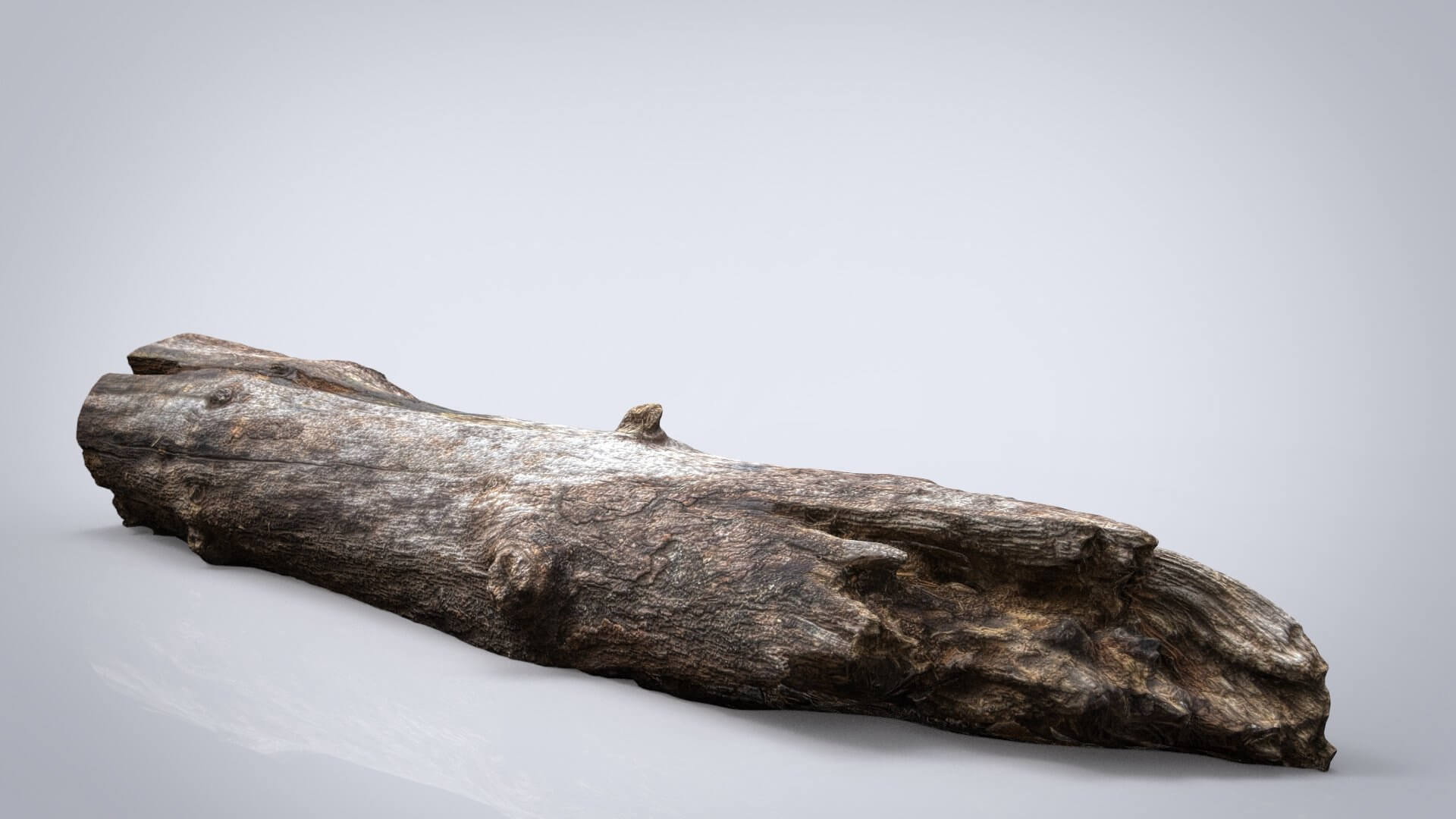 Dead Tree Trunk 3D Model by alenfsl