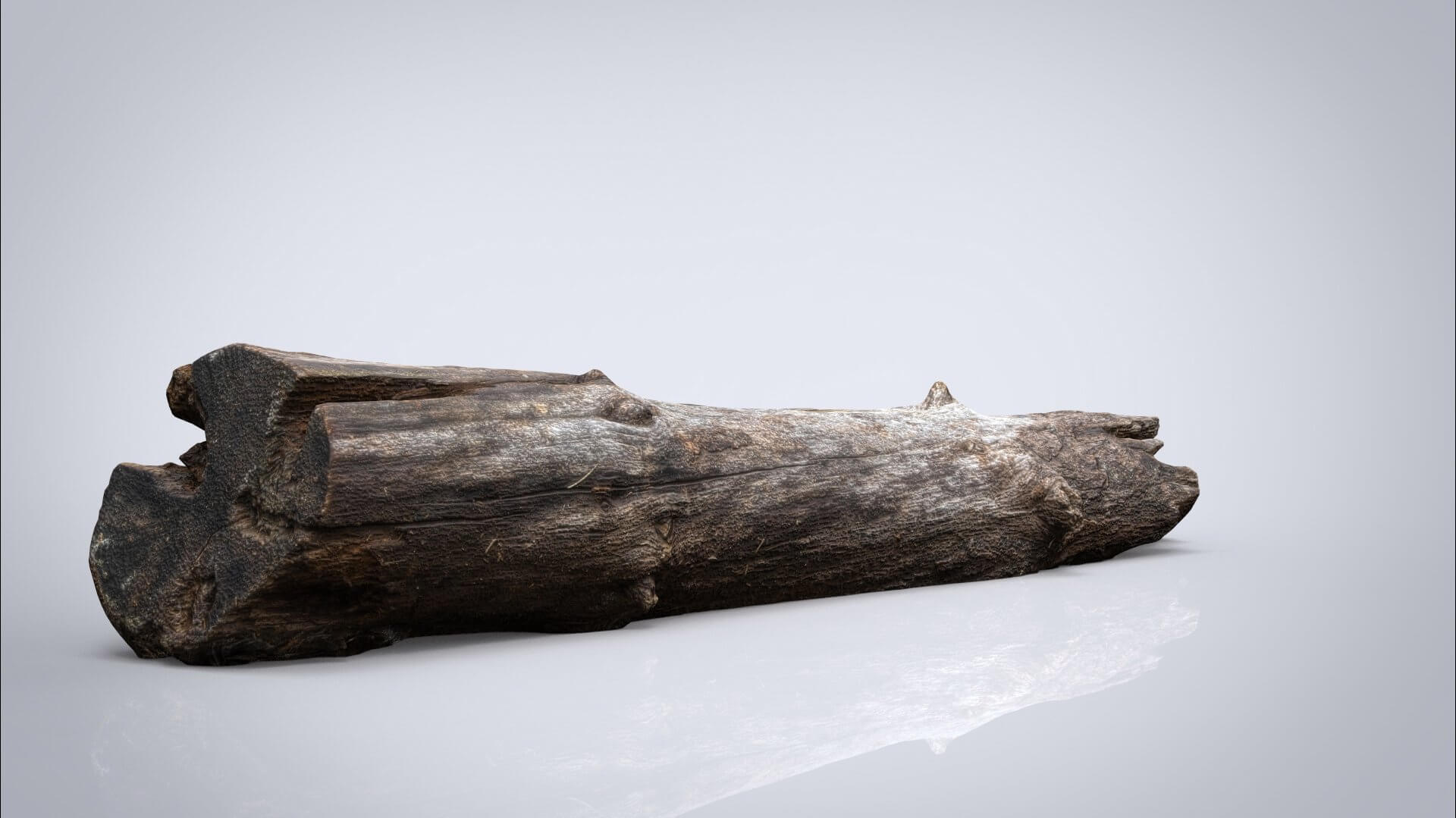 Dead Tree Trunk 3D Model by alenfsl