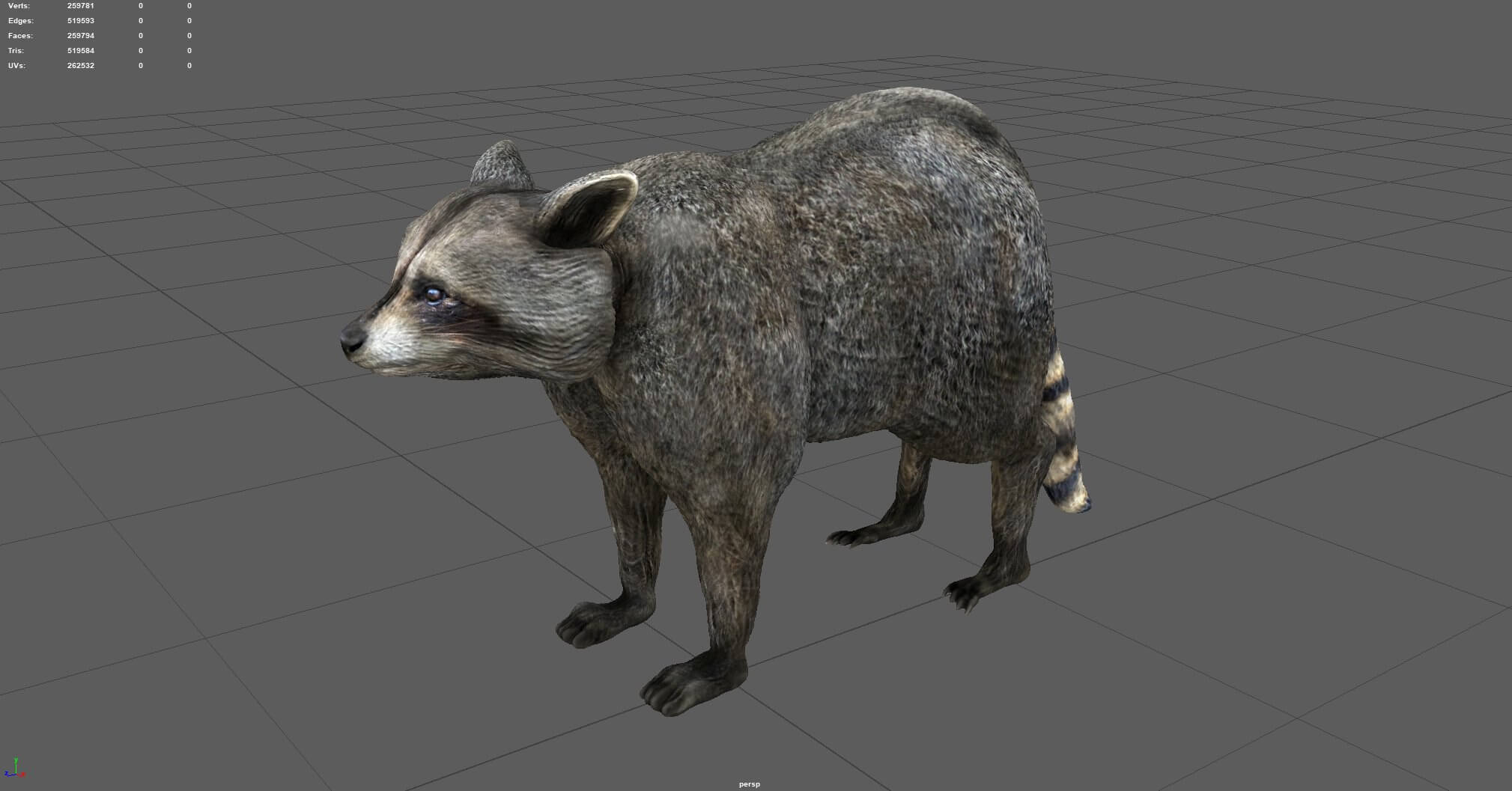 Racoon - 3D Model by alenfsl