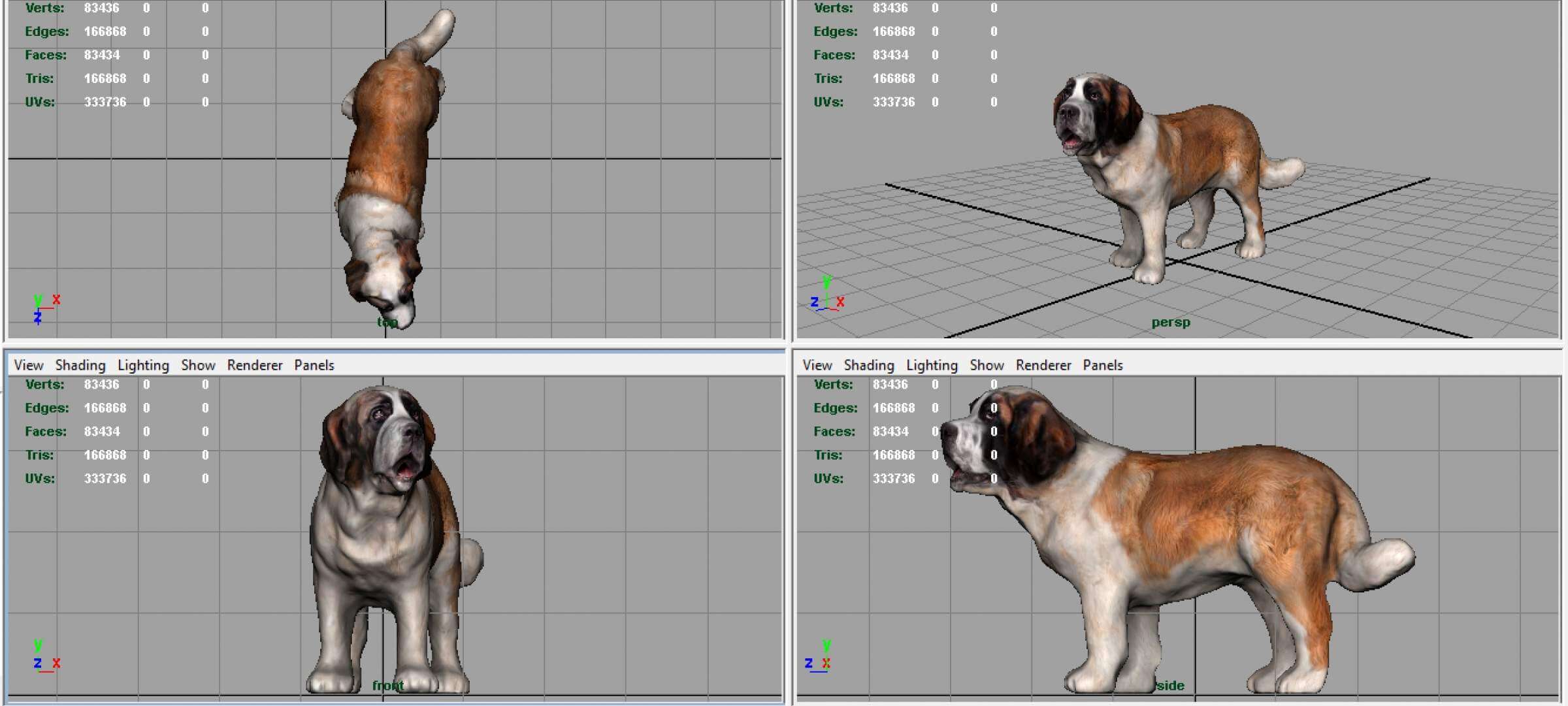 Saint Bernard 3D Model by alenfsl