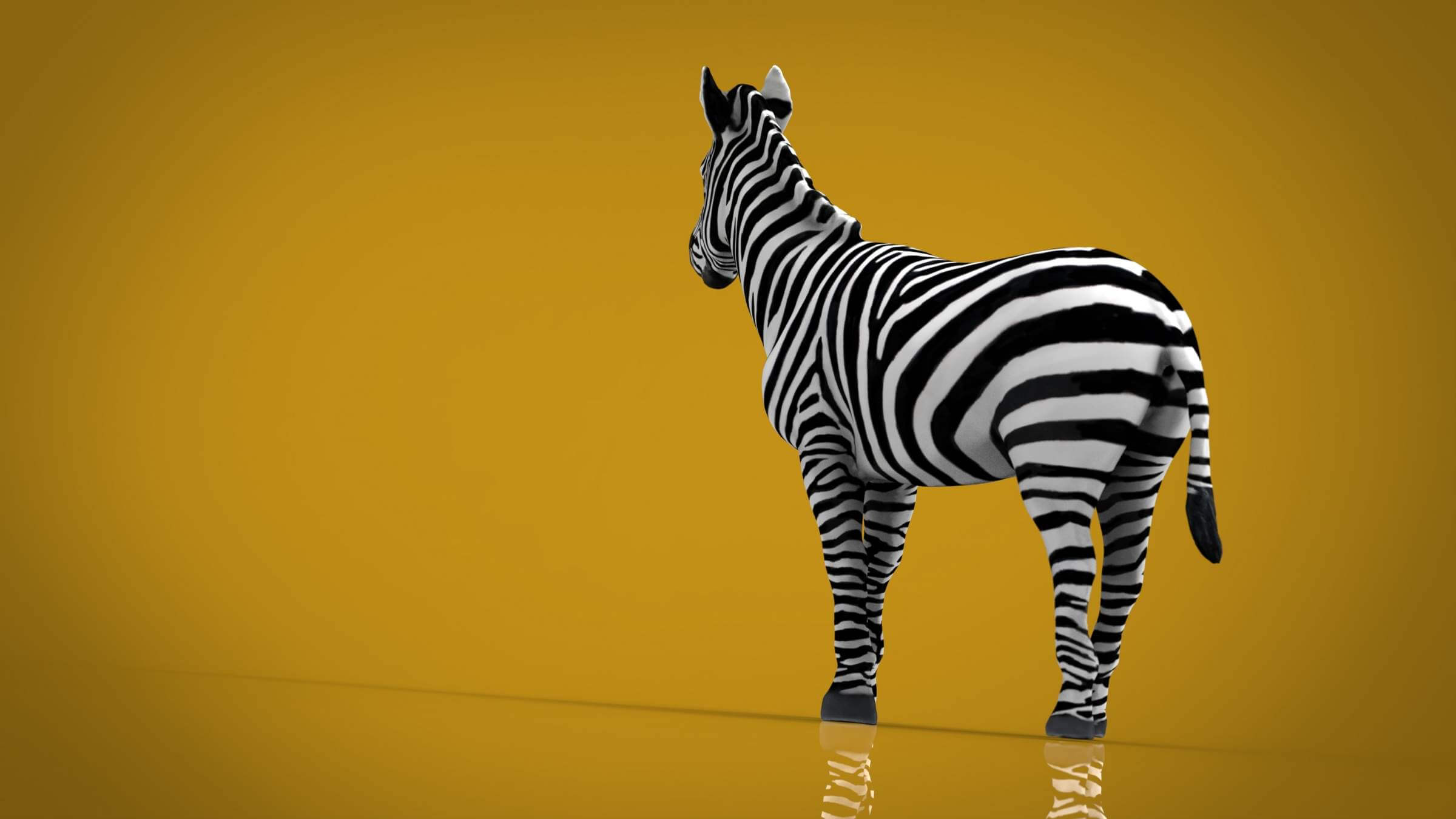 Zebra 3D Model by alenfsl